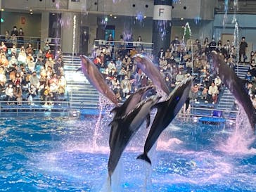 マクセル アクアパーク品川に投稿された画像（2021/2/22）