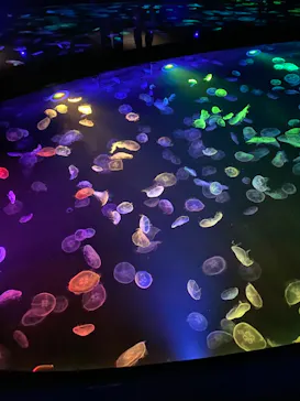 すみだ水族館に投稿された画像（2021/2/22）