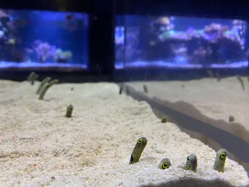 すみだ水族館に投稿された画像（2021/2/22）