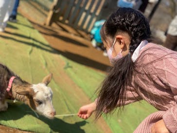 成田ゆめ牧場に投稿された画像（2021/2/22）