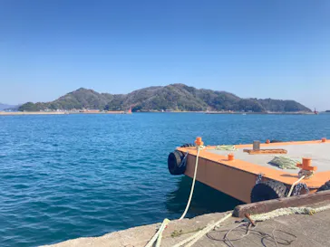 うみたま体験パーク 「つくみイルカ島」に投稿された画像（2021/2/22）