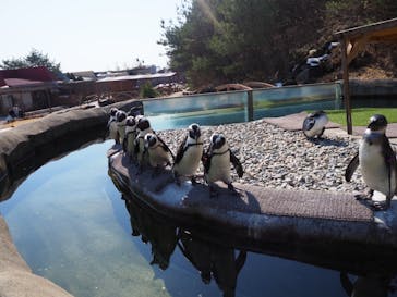 那須どうぶつ王国に投稿された画像（2021/2/22）