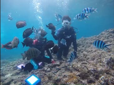 武藤潜水に投稿された画像（2021/2/22）