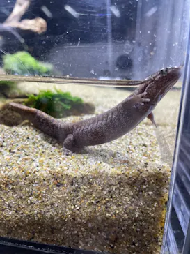 すみだ水族館に投稿された画像（2021/2/23）