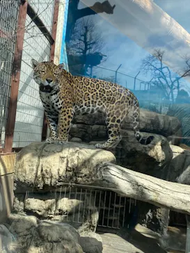 天王寺動物園に投稿された画像（2021/2/23）