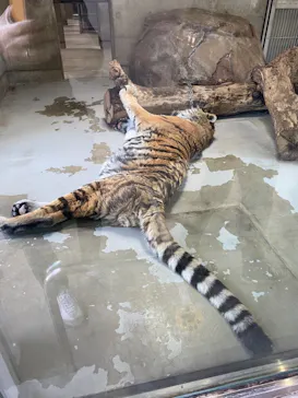 天王寺動物園に投稿された画像（2021/2/23）