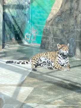 天王寺動物園に投稿された画像（2021/2/23）
