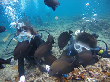 武藤潜水に投稿された画像（2021/2/23）