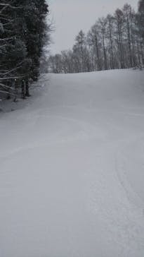 水上高原 藤原スキー場に投稿された画像（2021/2/23）