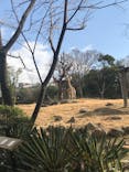 天王寺動物園に投稿された画像（2021/2/23）
