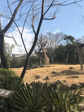 天王寺動物園に投稿された画像（2021/2/23）