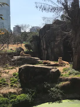 天王寺動物園に投稿された画像（2021/2/23）