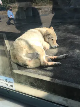 天王寺動物園に投稿された画像（2021/2/23）