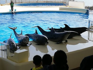 マリンワールド海の中道に投稿された画像（2021/2/23）