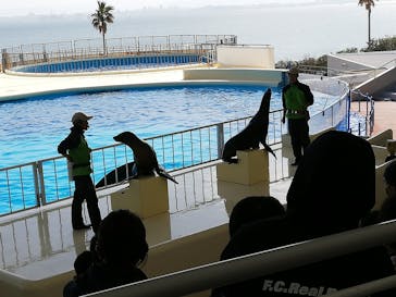 マリンワールド海の中道に投稿された画像（2021/2/23）