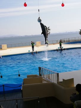 マリンワールド海の中道に投稿された画像（2021/2/23）