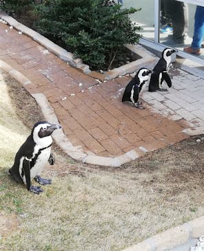 マリンワールド海の中道に投稿された画像（2021/2/23）