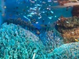 サンシャイン水族館に投稿された画像（2021/2/23）