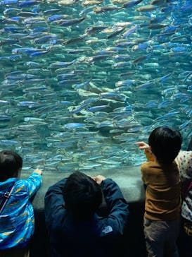 サンシャイン水族館に投稿された画像（2021/2/23）