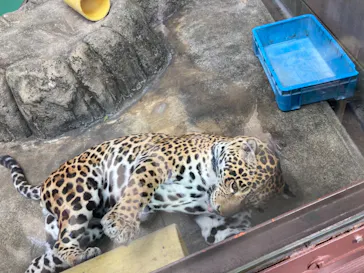 天王寺動物園に投稿された画像（2021/2/23）