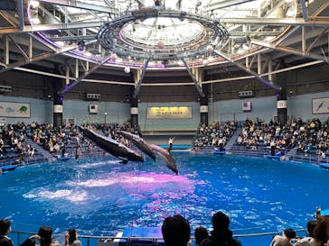 マクセル アクアパーク品川に投稿された画像（2021/2/23）