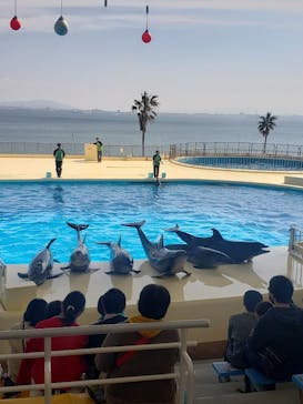 マリンワールド海の中道に投稿された画像（2021/2/23）
