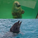 南知多ビーチランド＆南知多おもちゃ王国に投稿された画像（2021/2/23）