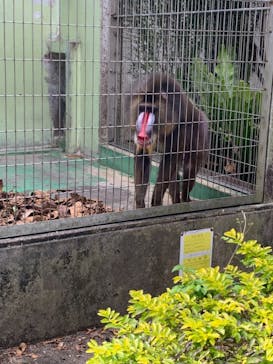 沖縄こどもの国に投稿された画像（2021/2/23）