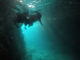 武藤潜水に投稿された画像（2021/2/23）