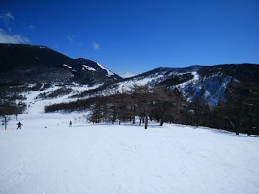 アサマ2000パークに投稿された画像（2021/2/23）