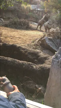 天王寺動物園に投稿された画像（2021/2/23）
