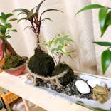 伊勢夫婦岩めおと横丁　めおと岩アクティビティに投稿された画像（2021/2/23）