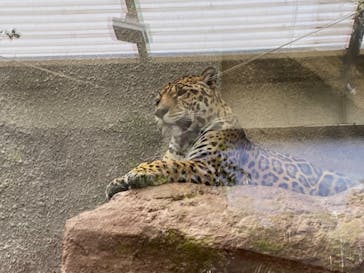 那須どうぶつ王国に投稿された画像（2021/2/23）