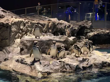 すみだ水族館に投稿された画像（2021/2/23）