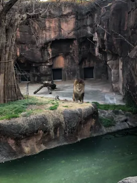 天王寺動物園に投稿された画像（2021/2/23）