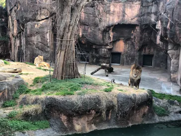 天王寺動物園に投稿された画像（2021/2/23）