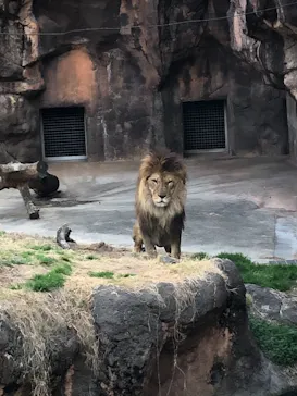 天王寺動物園に投稿された画像（2021/2/23）
