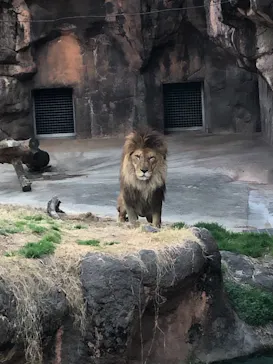 天王寺動物園に投稿された画像（2021/2/23）