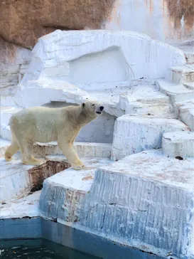 天王寺動物園に投稿された画像（2021/2/23）