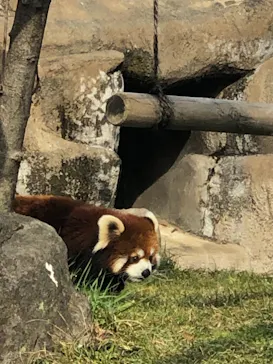 天王寺動物園に投稿された画像（2021/2/23）