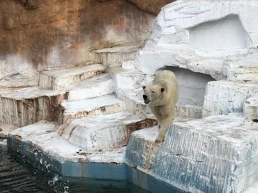 天王寺動物園に投稿された画像（2021/2/23）