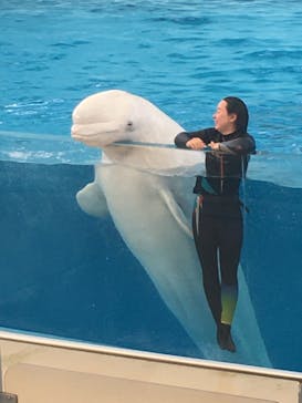 横浜・八景島シーパラダイスに投稿された画像（2021/2/23）
