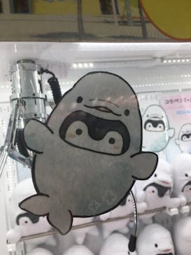 横浜・八景島シーパラダイスに投稿された画像（2021/2/23）