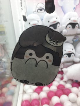 横浜・八景島シーパラダイスに投稿された画像（2021/2/23）