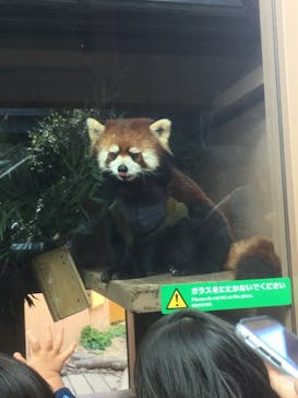 横浜・八景島シーパラダイスに投稿された画像（2021/2/23）