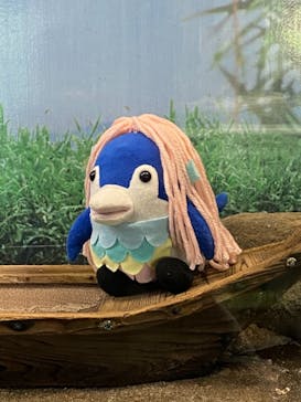 しながわ水族館に投稿された画像（2021/2/23）