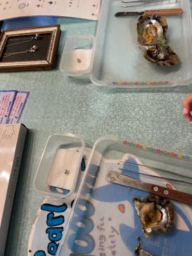 しながわ水族館に投稿された画像（2021/2/23）