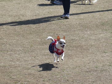 わんダフルネイチャーヴィレッジに投稿された画像（2021/2/23）