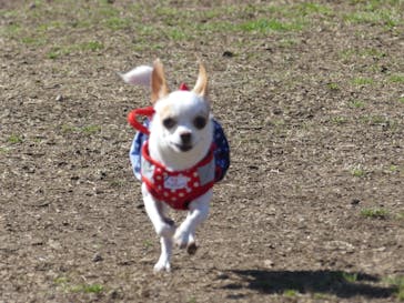 わんダフルネイチャーヴィレッジに投稿された画像（2021/2/23）