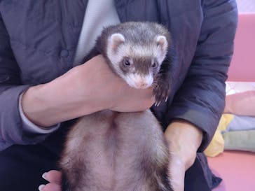 原宿かわいい動物園に投稿された画像（2021/2/23）
